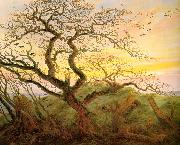 Caspar David Friedrich The Tree of Crows painting